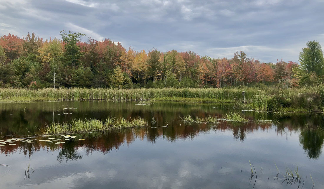 A lake reflecting a forest of trees changing color outside Bangor.