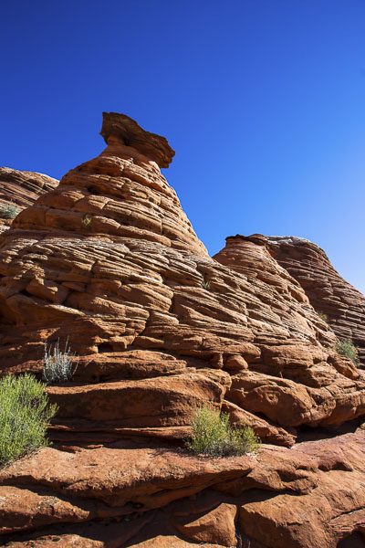 Jagged hoodoos in North Coyote Buttes